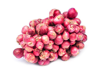 shallot