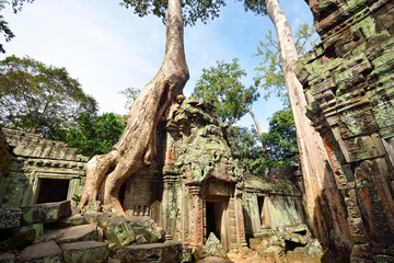 Ta Prohm at Angkor in Cambodia