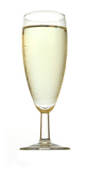 glass of white wine