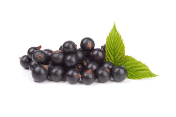 black currant