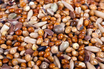 cereal texture