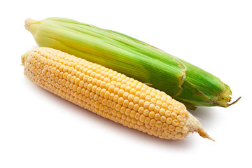 Corn
