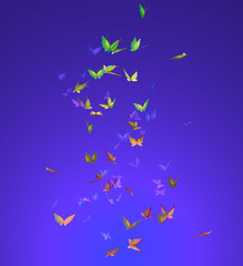 Dance of the butterfly