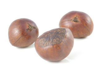 Sweet chestnut on white background