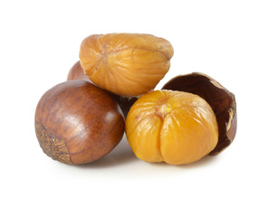 Sweet chestnut on white background