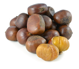 Sweet chestnut on white background