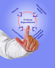 Online reputation