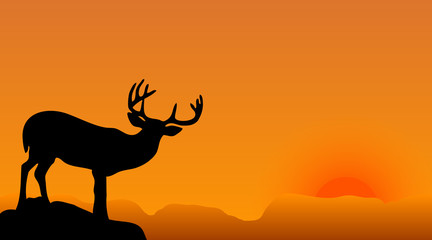 deer silhouette on a sunset