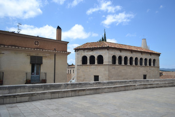 Obraz premium Street in the medieval quarter of Girona