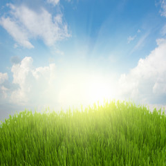 Obraz na płótnie Canvas rising sun and green grass under blue sky