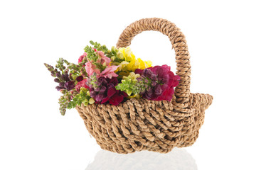 Fototapeta na wymiar Dragon flowers in wicker basket