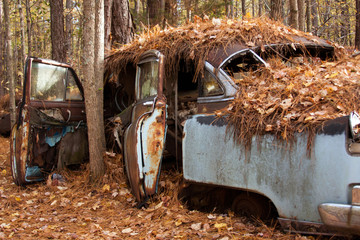Old Car in the Woods