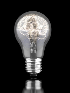 Brain inside a light bulb