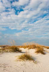 sand dunes and sea oats on a sunny day