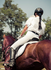 Horse and rider