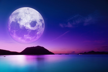 the dawn coast of moonlight
