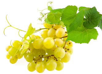 grappe de raisin blanc