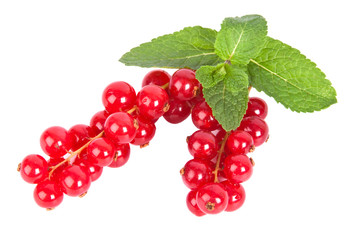 red currant