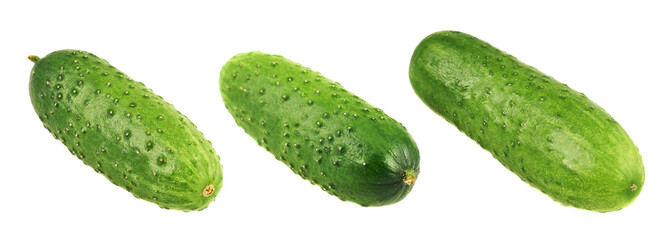 Green fresh cucumbers isolated