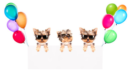 Holiday banners with balloons and dog