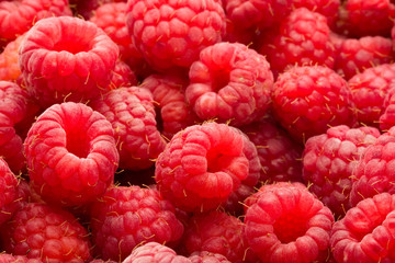 Raspberries