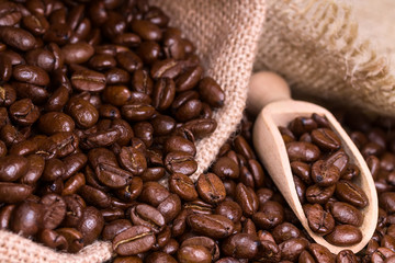 Roasted coffee beans in sack burlap.