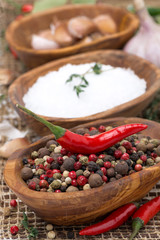 hot pepper, sea salt and spices in bowls, close-up