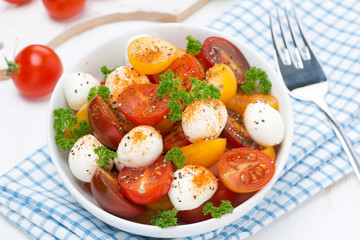 salad with mozzarella, fresh herbs and colorful cherry tomatoes