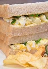 Fresh egg on white sandwich in rustic kitchen setting