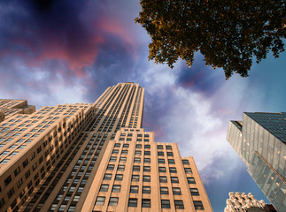 Manhattan buildings as seen from below, New York from street lev - obrazy, fototapety, plakaty