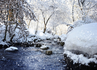 Winter landscape with the river in frosty sunny day