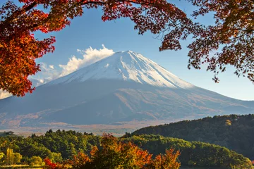 Foto op Canvas Mt. Fuji in Autumn © SeanPavonePhoto