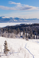 Taiga snowshoe trail landscape Yukon T Canada