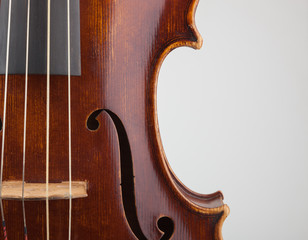 Dettaglio violino
