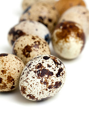 Obraz premium quail eggs isolated on white background