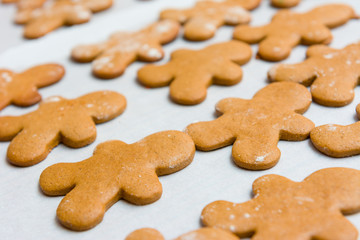 Gingerbread Cookies