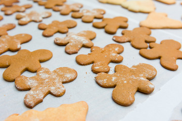 Gingerbread Cookies