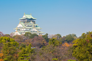 Naklejka premium Osaka castle Japan