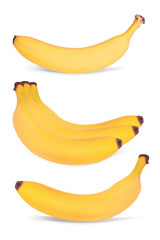 Set of bananas. Realistic Vector illustration. Isolated on white