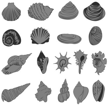 Set of silhouette shell icons