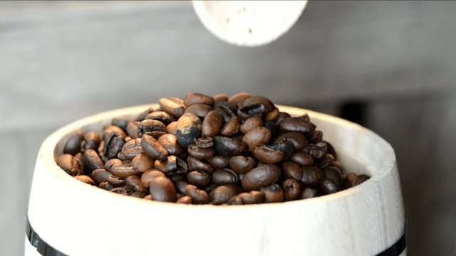 Holzloz taucht in Fass mit Arabica Kaffeebohnen