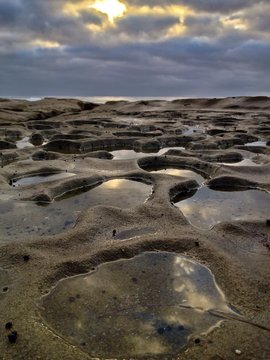 The Potholes Of Hospitals Reef La Jolla San Diego California 