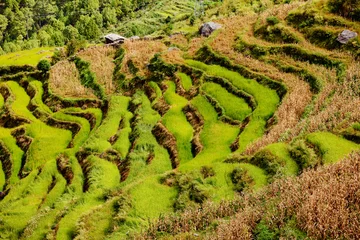 Fototapete Rund Himalayan terrace green hill in Nepal © Raimond Klavins