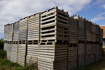 Wooden pallets for cargo and logistic