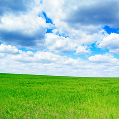 Obraz premium meadow and blue sky