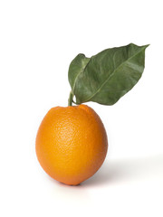 orange with leaf isolated on white background