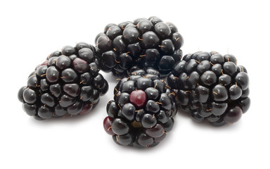 Blackberry
