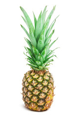Fototapeta premium Pineapple