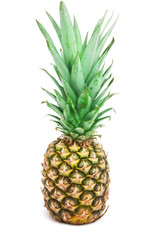 Fototapeta premium Pineapple