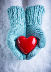 Woman hands in light teal knitted mittens are holding a beautifu